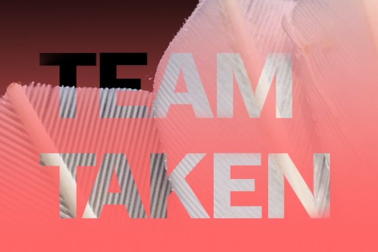 teamtaak